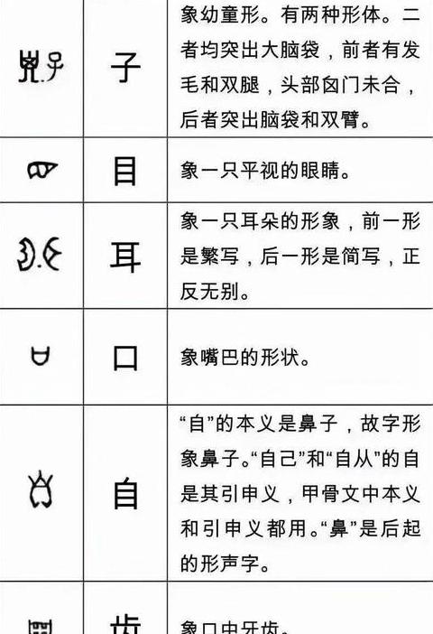 字形完全正确是指什么(字形完全正确是指什么字体)