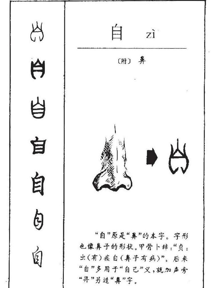 字形是什么意思