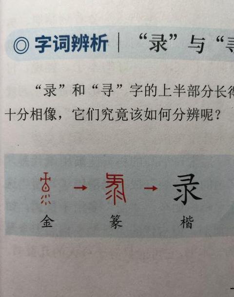 探索相似词汇一网打尽同义词宝藏