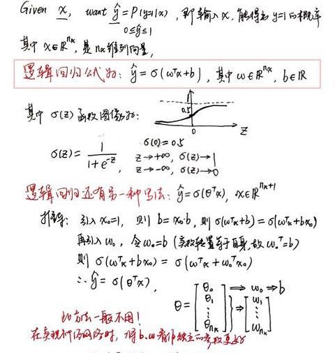 基础的释义