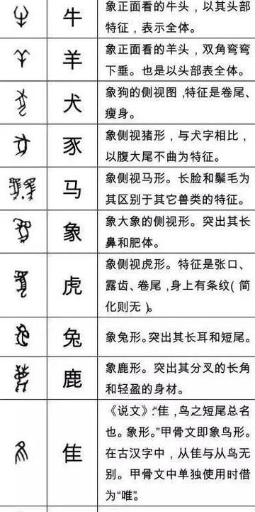 字形是什么意思请举例