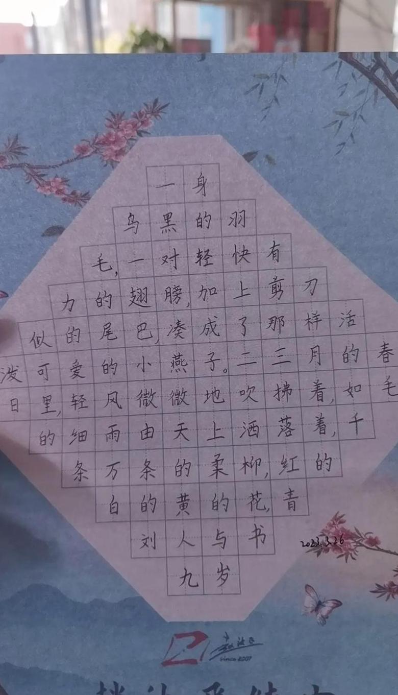 字形是什么字体